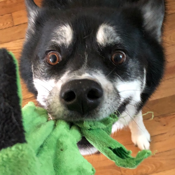 💕 Meet The Posher 💕 - Picture 2 of 8